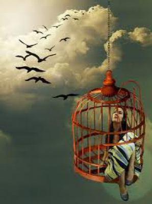 پرندگانی که در قفس به دنیا می‌آیند،. تصور میکنند که پرواز یک بیماری است!